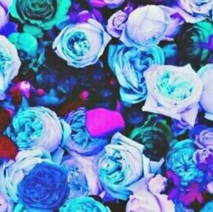 Meet your Posher, Celeste